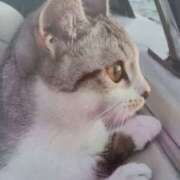 ヒメ日記 2025/08/15 06:20 投稿 いろは 脱がされたい人妻 宇都宮店