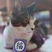 ヒメ日記 2025/08/16 06:24 投稿 いろは 脱がされたい人妻 宇都宮店