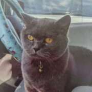 ヒメ日記 2025/08/17 06:37 投稿 いろは 脱がされたい人妻 宇都宮店