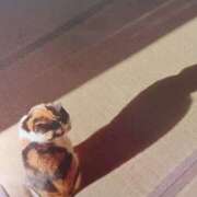 ヒメ日記 2025/08/18 06:00 投稿 いろは 脱がされたい人妻 宇都宮店