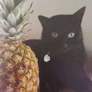 ヒメ日記 2025/08/19 06:01 投稿 いろは 脱がされたい人妻 宇都宮店