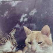 ヒメ日記 2025/08/20 05:35 投稿 いろは 脱がされたい人妻 宇都宮店