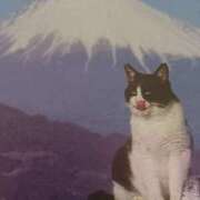 ヒメ日記 2025/08/21 06:11 投稿 いろは 脱がされたい人妻 宇都宮店