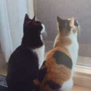 ヒメ日記 2025/08/22 06:24 投稿 いろは 脱がされたい人妻 宇都宮店