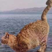 ヒメ日記 2025/08/23 05:44 投稿 いろは 脱がされたい人妻 宇都宮店