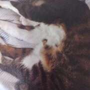 ヒメ日記 2025/08/25 05:54 投稿 いろは 脱がされたい人妻 宇都宮店