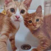 ヒメ日記 2025/08/26 06:08 投稿 いろは 脱がされたい人妻 宇都宮店