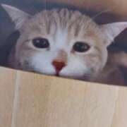 ヒメ日記 2025/08/27 06:10 投稿 いろは 脱がされたい人妻 宇都宮店