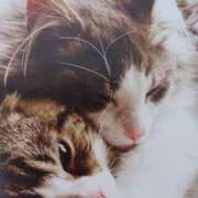 ヒメ日記 2025/08/28 06:26 投稿 いろは 脱がされたい人妻 宇都宮店