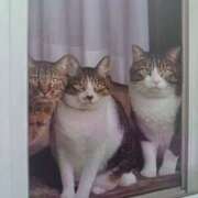 ヒメ日記 2025/08/29 06:20 投稿 いろは 脱がされたい人妻 宇都宮店