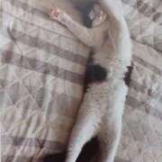 ヒメ日記 2025/08/30 06:11 投稿 いろは 脱がされたい人妻 宇都宮店