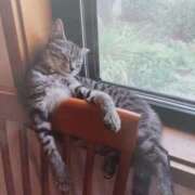 ヒメ日記 2025/08/31 06:58 投稿 いろは 脱がされたい人妻 宇都宮店