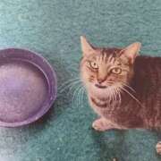 ヒメ日記 2025/09/01 05:38 投稿 いろは 脱がされたい人妻 宇都宮店