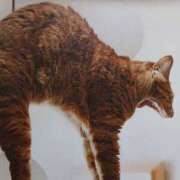 ヒメ日記 2025/09/02 05:52 投稿 いろは 脱がされたい人妻 宇都宮店