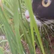 ヒメ日記 2025/09/03 06:11 投稿 いろは 脱がされたい人妻 宇都宮店