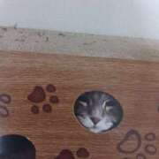 ヒメ日記 2025/09/04 06:01 投稿 いろは 脱がされたい人妻 宇都宮店