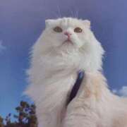 ヒメ日記 2025/09/06 06:36 投稿 いろは 脱がされたい人妻 宇都宮店