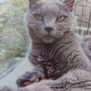 ヒメ日記 2025/09/08 05:19 投稿 いろは 脱がされたい人妻 宇都宮店