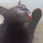 ヒメ日記 2025/09/09 06:24 投稿 いろは 脱がされたい人妻 宇都宮店