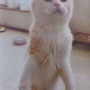 ヒメ日記 2025/09/17 06:04 投稿 いろは 脱がされたい人妻 宇都宮店