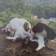 ヒメ日記 2025/09/18 05:38 投稿 いろは 脱がされたい人妻 宇都宮店