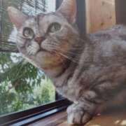 ヒメ日記 2025/09/19 05:42 投稿 いろは 脱がされたい人妻 宇都宮店