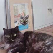 ヒメ日記 2025/09/20 06:35 投稿 いろは 脱がされたい人妻 宇都宮店