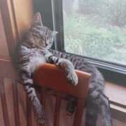 ヒメ日記 2025/09/21 07:03 投稿 いろは 脱がされたい人妻 宇都宮店