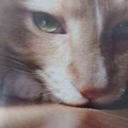 ヒメ日記 2025/09/22 06:20 投稿 いろは 脱がされたい人妻 宇都宮店