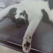 ヒメ日記 2025/09/23 06:10 投稿 いろは 脱がされたい人妻 宇都宮店