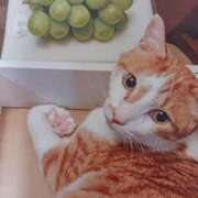 ヒメ日記 2025/09/25 05:40 投稿 いろは 脱がされたい人妻 宇都宮店