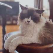 ヒメ日記 2025/09/26 06:36 投稿 いろは 脱がされたい人妻 宇都宮店