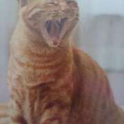 ヒメ日記 2025/09/27 06:31 投稿 いろは 脱がされたい人妻 宇都宮店