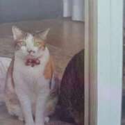 ヒメ日記 2025/09/30 06:45 投稿 いろは 脱がされたい人妻 宇都宮店