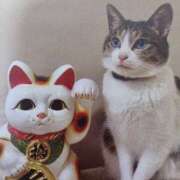 ヒメ日記 2025/10/01 06:26 投稿 いろは 脱がされたい人妻 宇都宮店