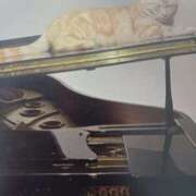 ヒメ日記 2025/10/02 06:11 投稿 いろは 脱がされたい人妻 宇都宮店