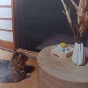 ヒメ日記 2025/10/07 06:12 投稿 いろは 脱がされたい人妻 宇都宮店