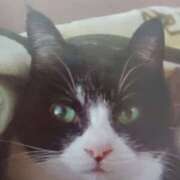 ヒメ日記 2025/10/08 05:46 投稿 いろは 脱がされたい人妻 宇都宮店