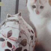 ヒメ日記 2025/10/09 05:58 投稿 いろは 脱がされたい人妻 宇都宮店