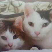 ヒメ日記 2025/10/10 06:05 投稿 いろは 脱がされたい人妻 宇都宮店