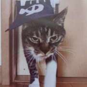 ヒメ日記 2025/10/11 05:42 投稿 いろは 脱がされたい人妻 宇都宮店