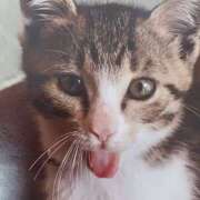 ヒメ日記 2025/10/13 06:09 投稿 いろは 脱がされたい人妻 宇都宮店