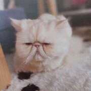 ヒメ日記 2025/10/14 06:00 投稿 いろは 脱がされたい人妻 宇都宮店