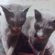 ヒメ日記 2025/10/15 06:00 投稿 いろは 脱がされたい人妻 宇都宮店