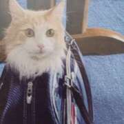 ヒメ日記 2025/10/16 06:26 投稿 いろは 脱がされたい人妻 宇都宮店