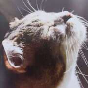 ヒメ日記 2025/10/17 06:05 投稿 いろは 脱がされたい人妻 宇都宮店