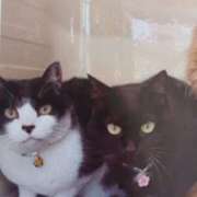 ヒメ日記 2025/10/18 07:12 投稿 いろは 脱がされたい人妻 宇都宮店