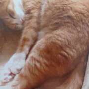 ヒメ日記 2025/10/20 06:06 投稿 いろは 脱がされたい人妻 宇都宮店