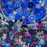 ヒメ日記 2025/10/23 06:06 投稿 いろは 脱がされたい人妻 宇都宮店