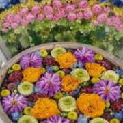 ヒメ日記 2025/10/24 06:08 投稿 いろは 脱がされたい人妻 宇都宮店